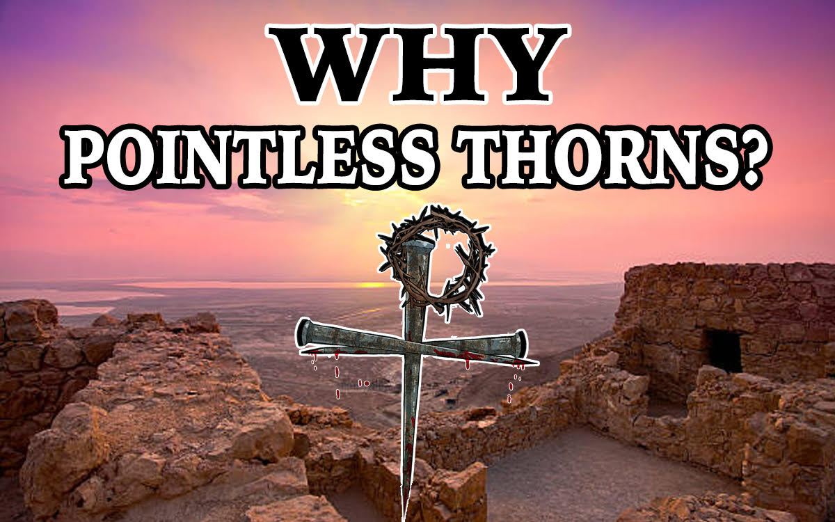 Why-Pointless-Thorns